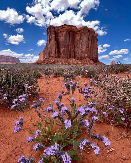 Monument Valley Navajo Trib.jpg